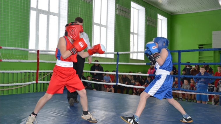 Боксеры сборной команды города Канаша организовали «Новогодний ринг» в рамках Декады спорта и здоровья